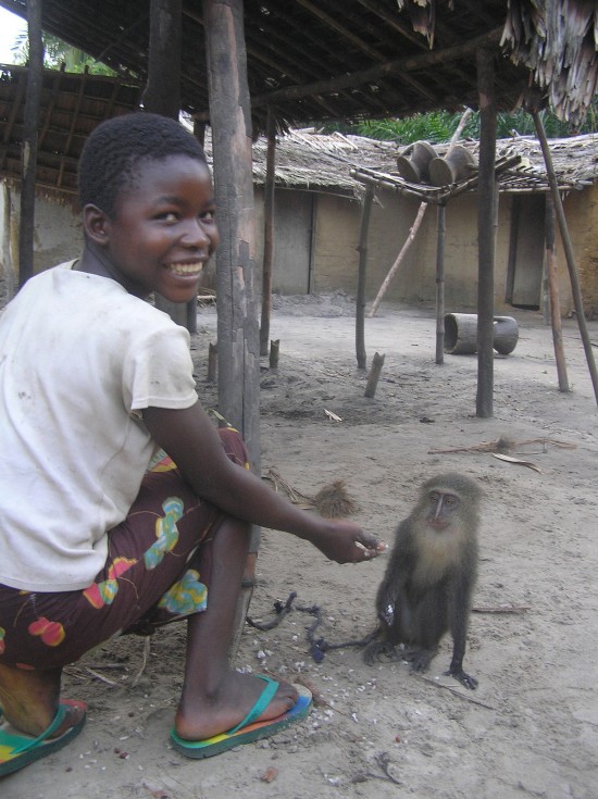 Terese Hart, Lukuru Wildlife Research Project