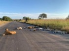 Richard Sowry, Kruger National Park