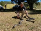 Brisbane North Snake Catchers and Relocation, FB