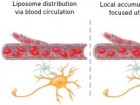 Ozdas et al. Nature Communications 2020