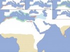 S. Lucas w: Rageot, M., Hussein, R.B., Beck, S. et al. Biomolecular analyses enable new insights into ancient Egyptian embalming. Nature (2023), CC BY-SA 4.0